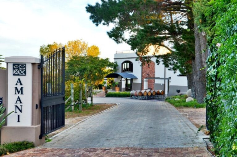 amani vineyard 1 768x509