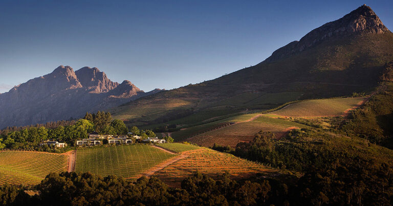 Facebook Delaire Graff 768x402