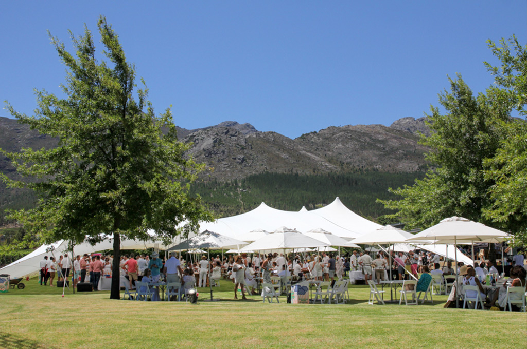 Franschhoek Summer Wines