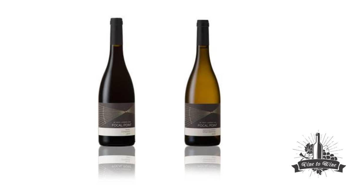 2019 Turns More Than Water Into Wine For Winemaker Arco Laarman