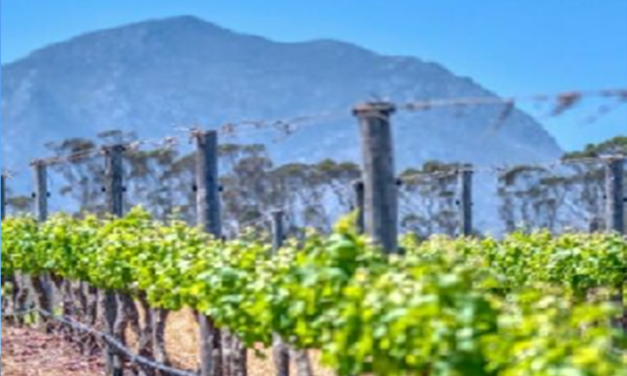 Journey Through H&A | Hermanus