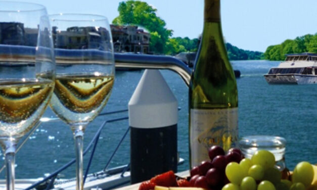 Vaal Wine Expo