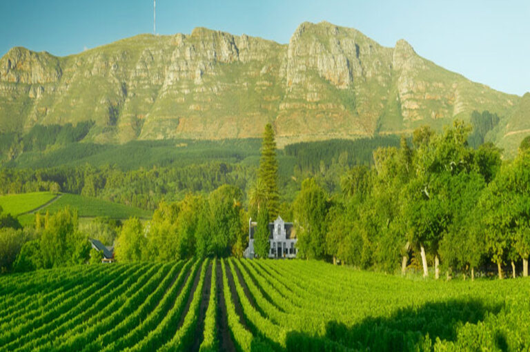 Buitenverwachting 768x510