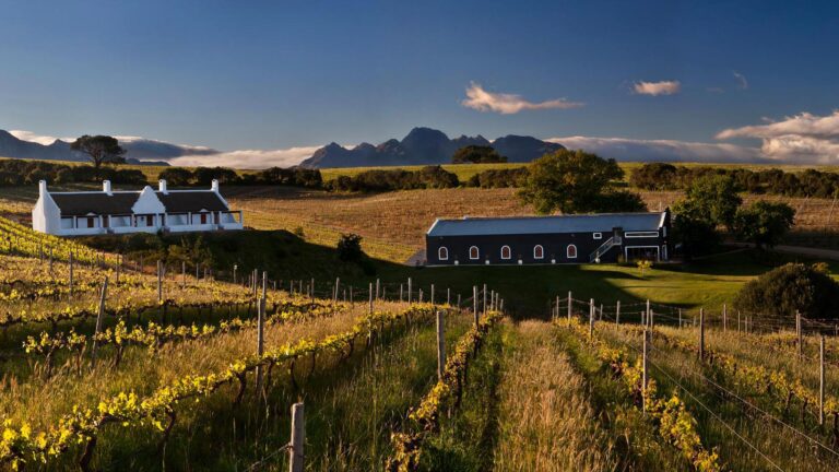 Aaldering Vineyards Wines Luxury Lodges 1 768x432