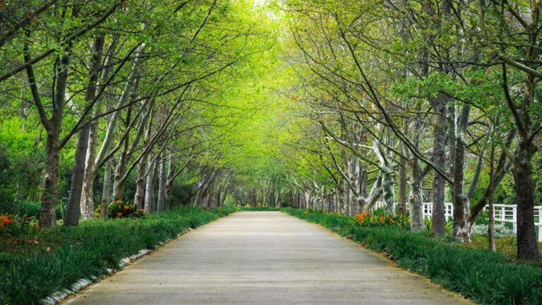 Anthonij Rupert Wyne hero 768x432