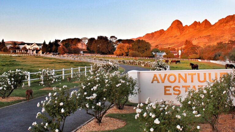 Avontuur Estate Hero 2 768x432