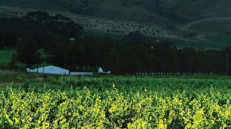 Burgherspost Wine Estate hero 768x432