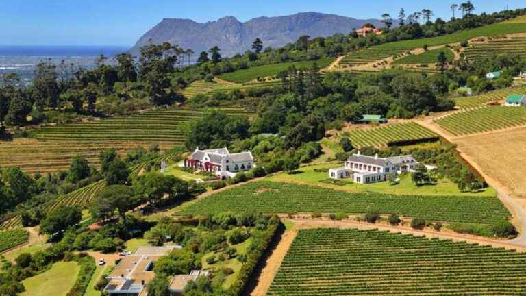 Constantia Glen 1 768x432