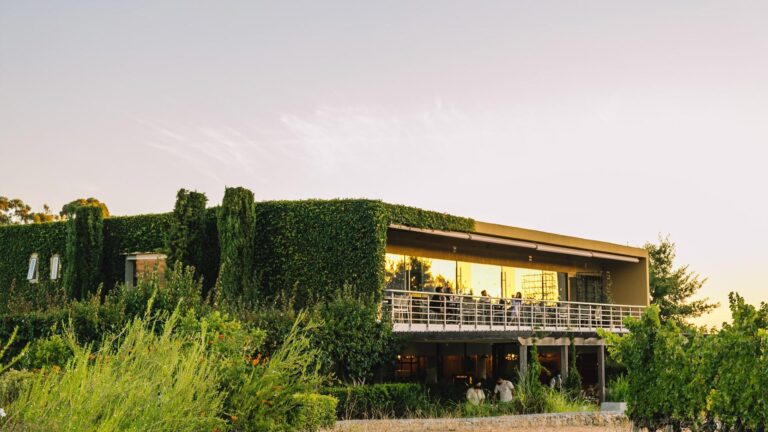 Glenelly Estate 768x432