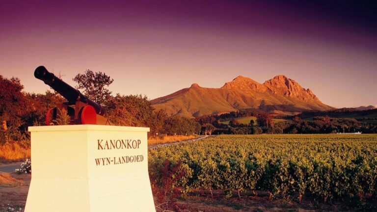 Kanonkop Wine Estate Hero 768x432