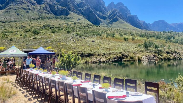 Laarman Wines 768x432