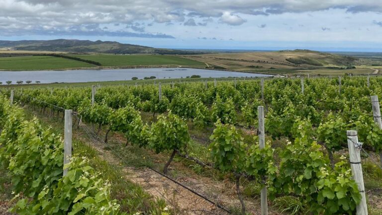 Lomond Wines Cape Augulas Terroirs3 768x432