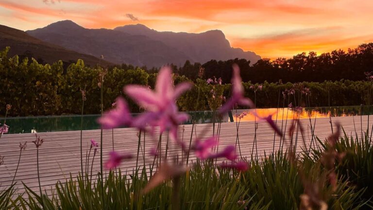 Maison Estate hero 768x432