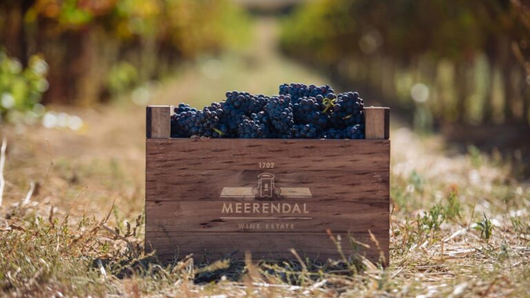 Meerendal Wine Estate 2 768x432