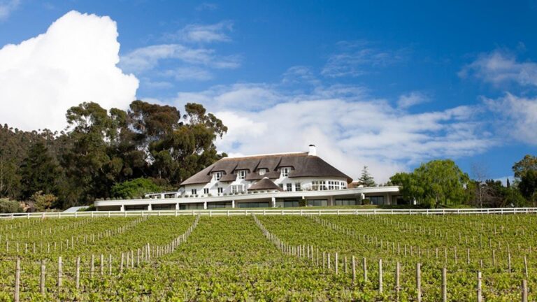 Mont Rochelle Hero 768x432