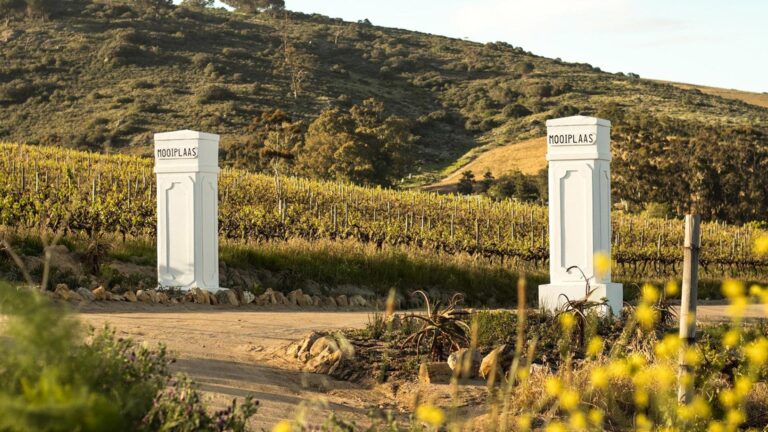 Mooiplaas Wine Estate 2 768x432