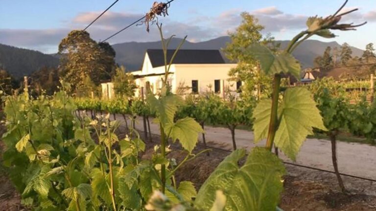 Newstead Lund Family 768x432