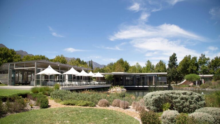 Paserene Wines Hero 768x432