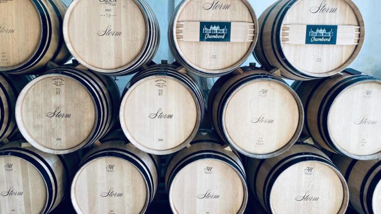 STORM WINES hero 768x432