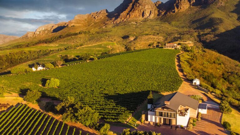 Uva Mira Mountain Vineyards 768x432