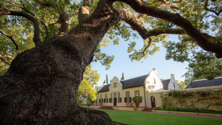 Vergelegen Wines Hero 768x432