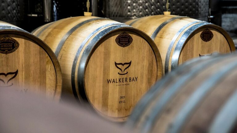 Walker Bay Estate hero 2 768x432