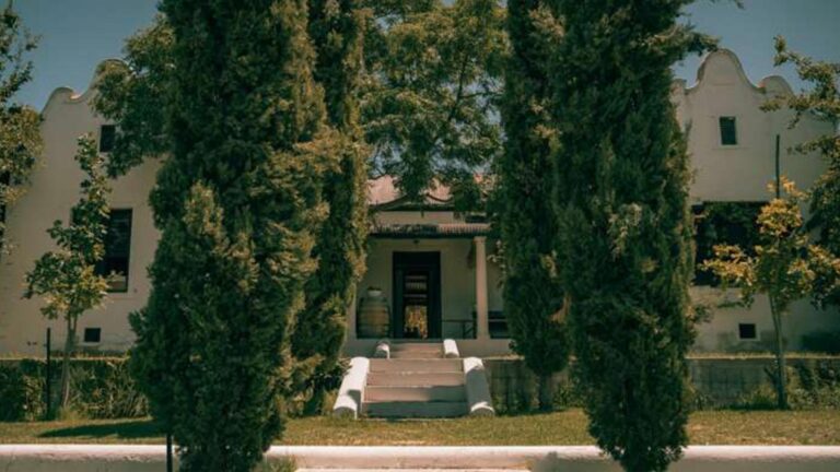 badenhorst 1 768x432