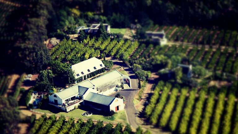 marianne wine estate hero 768x432