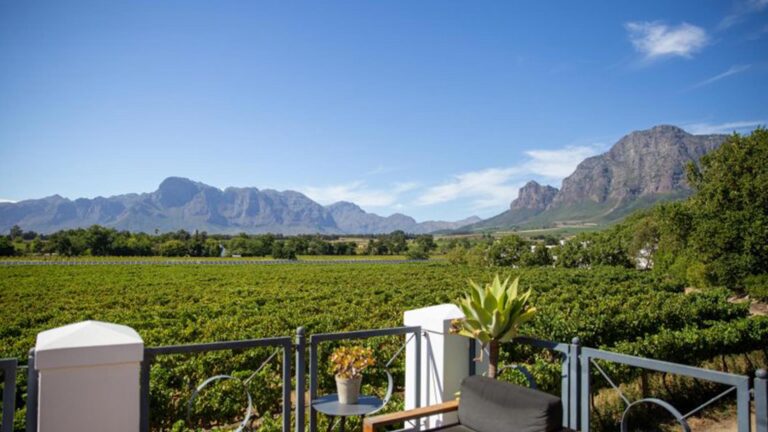 vrede en lust wine tasting 1647242944 2 768x432