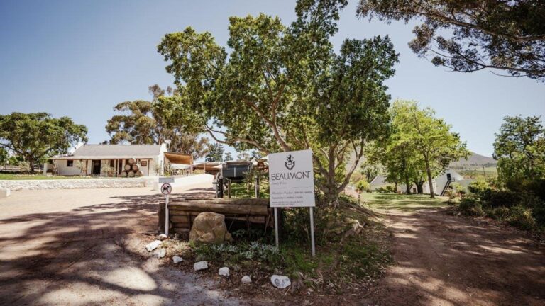 Beaumont Family Wines hero 1 768x432