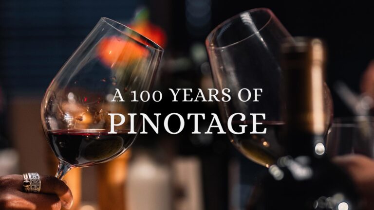 Beyerskloof hero 3 768x432