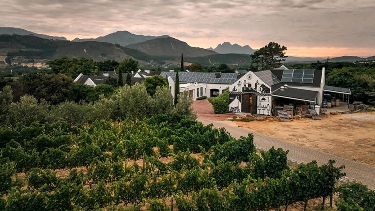 Black Elephant Vinters Co hero 768x432