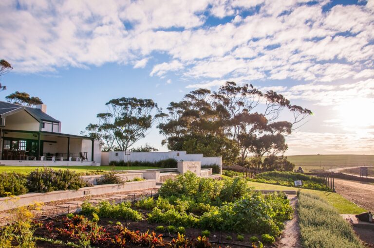 Black Oystercatcher Wines hero 768x510