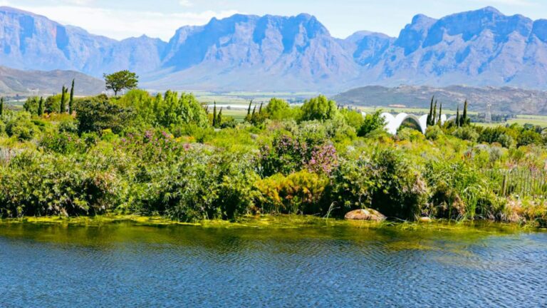 Breedekloof Wine Valley 768x432