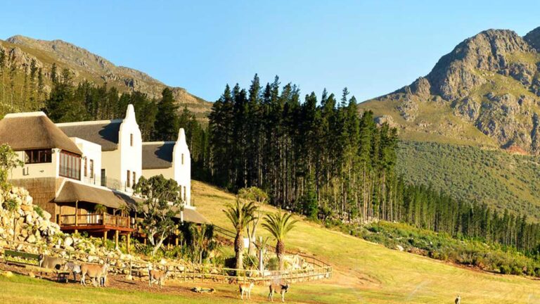 Cape Chamonix Wine Farm Hero 768x432