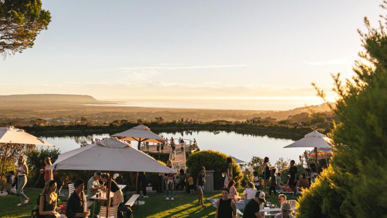 Cape Point Vineyards Estate 768x432