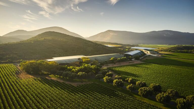 Graham Beck Bubbly hero 768x432