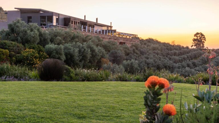 Hidden Valley Wines hero 768x432