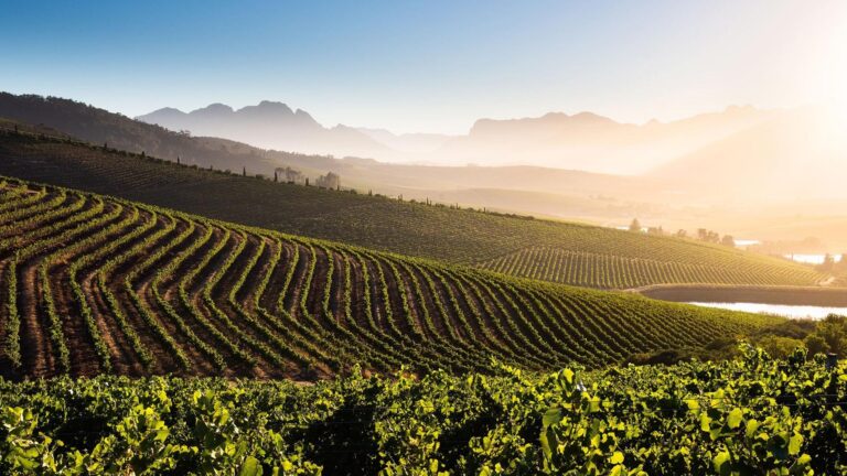 Jordan Wine Estate Stellenbosch heroo 768x432