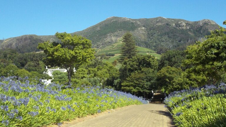 Klein Constantia Estate hero 768x432