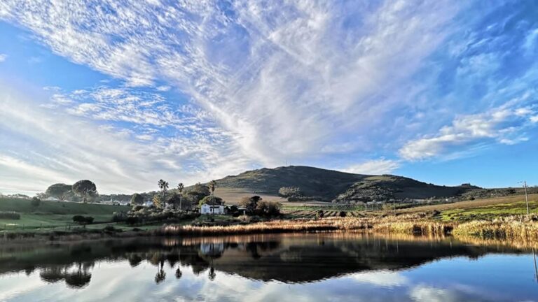 Koopmanskloof Wines hero 768x432