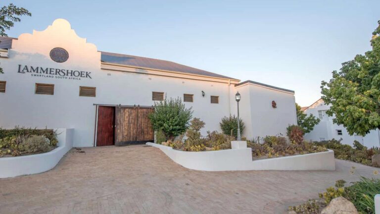 LAMMERSHOEK WINE ESTATE hero 768x432