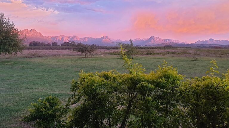 Mhudi Wines hero 768x432