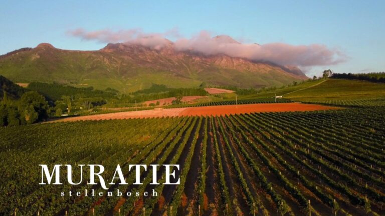 Muratie Wine Estate hero 768x432