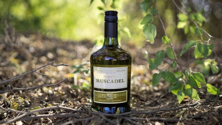 ORANGE RIVER WINE CELLARS hero 768x432