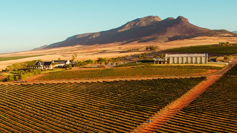 Org de Rac Organic hero 768x432