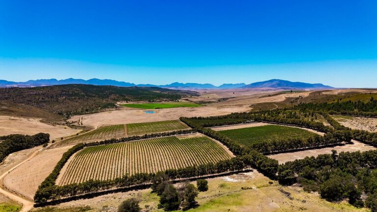 Paardenkloof Wine Estate hro 768x432
