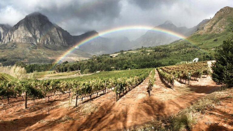 Rainbows End Estate 768x432