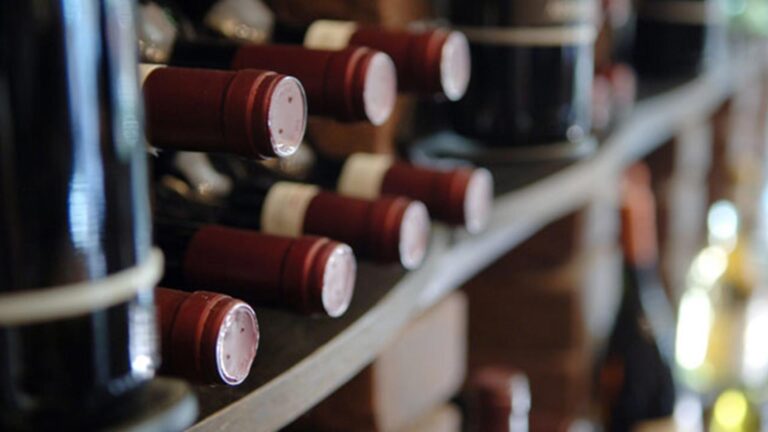 Ridgeback hero 768x432