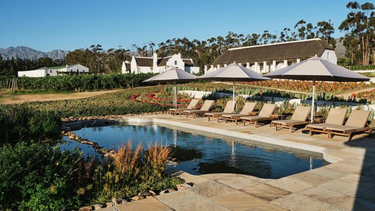 Rijks Wine Estate hero 768x432